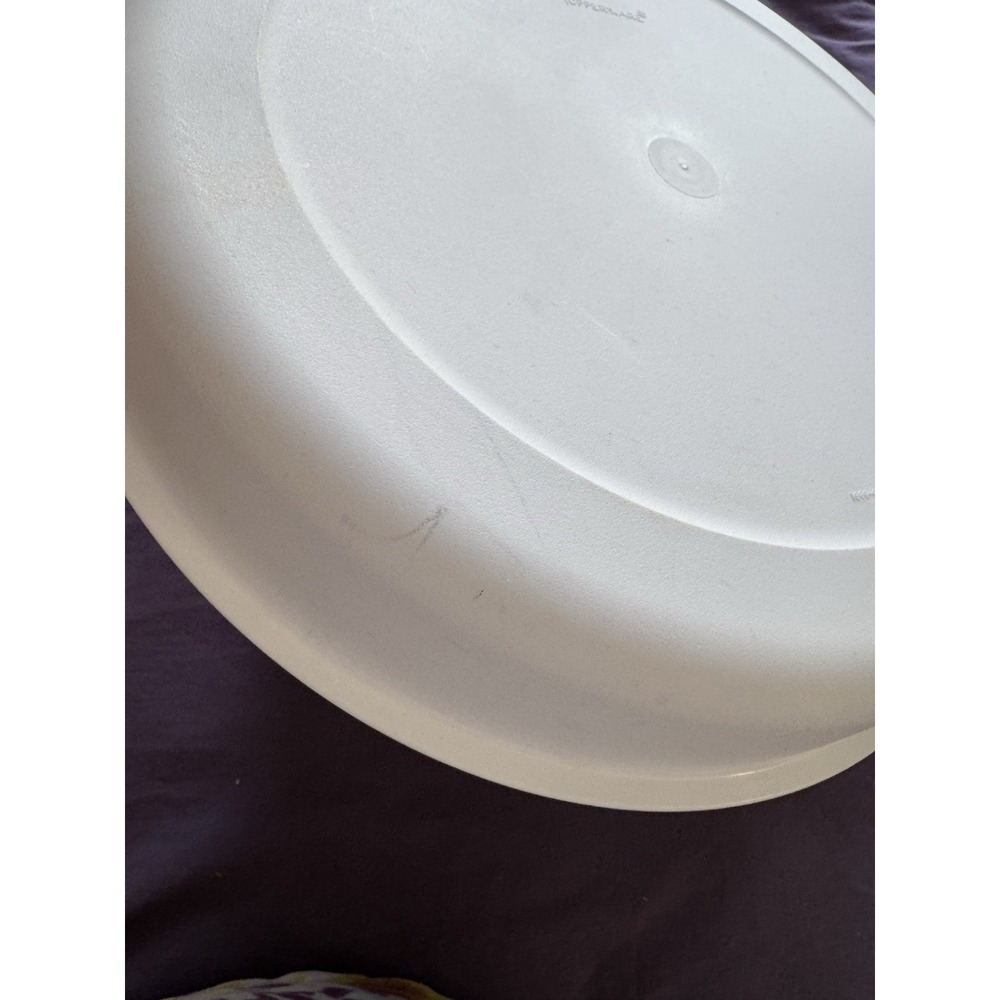 Tupperware Divided Container - Picture 7 of 10